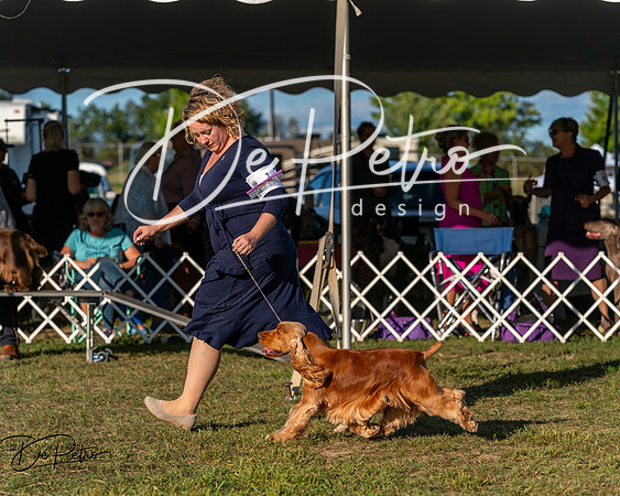 20250830-DSC06996