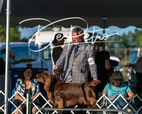 20250830-DSC07009