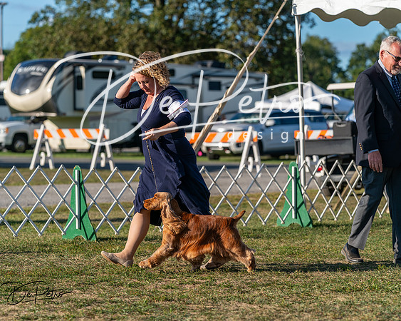 20250830-DSC07001