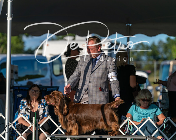 20250830-DSC07011