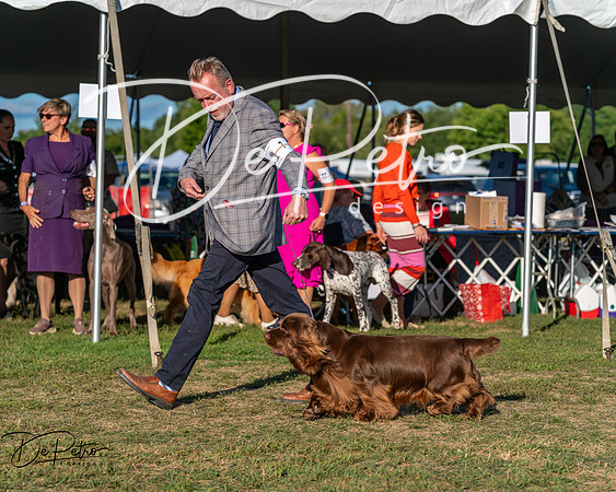 20250830-DSC07012