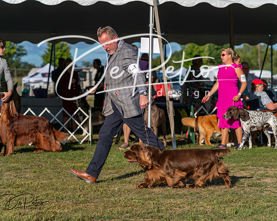 20250830-DSC07017