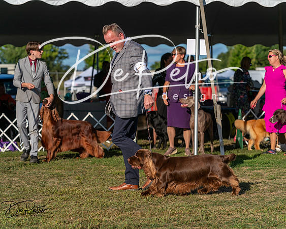 20250830-DSC07019
