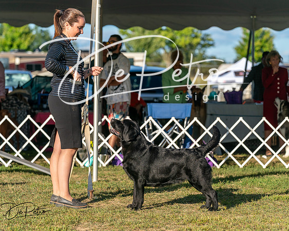 20250830-DSC07029