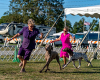 20250830-DSC06449