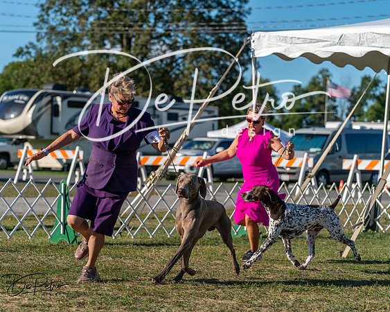 20250830-DSC06449