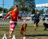 20250830-DSC06464