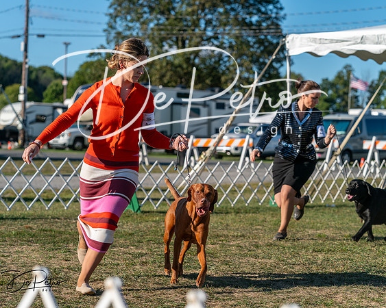 20250830-DSC06464