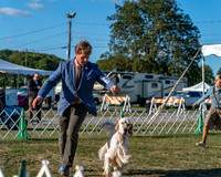 20250830-DSC06477