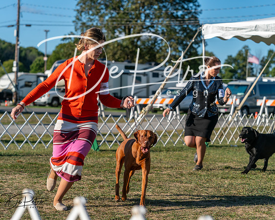 20250830-DSC06465