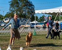 20250830-DSC06479