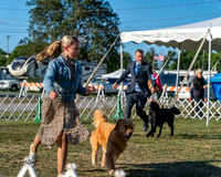 20250830-DSC06486