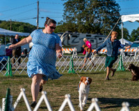 20250830-DSC06498