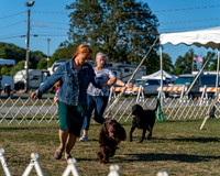 20250830-DSC06507
