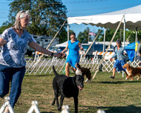 20250830-DSC06509