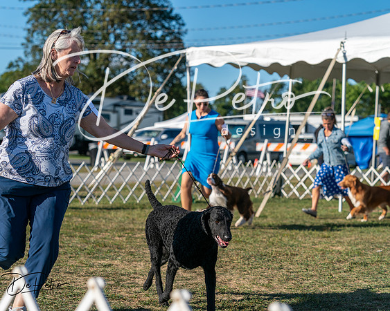 20250830-DSC06509