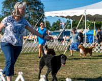 20250830-DSC06512