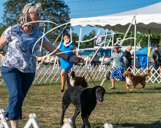 20250830-DSC06512