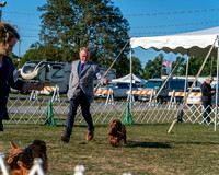 20250830-DSC06537