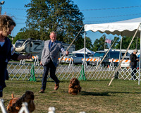 20250830-DSC06538