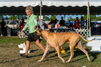 20250830-DSC07067
