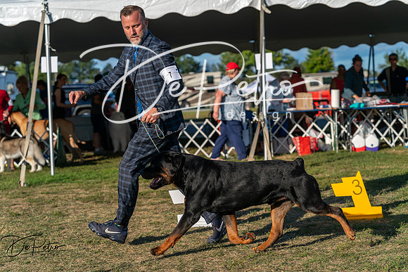 20250830-DSC07086
