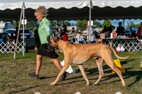 20250830-DSC07070