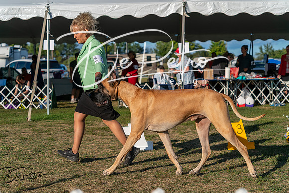 20250830-DSC07070