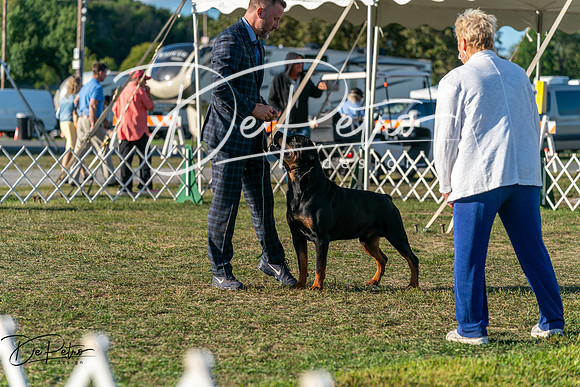 20250830-DSC07076