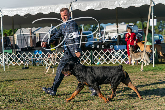 20250830-DSC07093