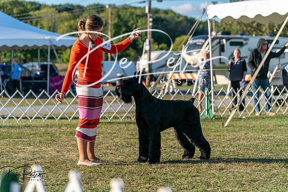 20250830-DSC07095