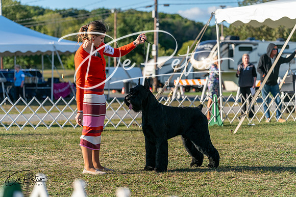 20250830-DSC07097