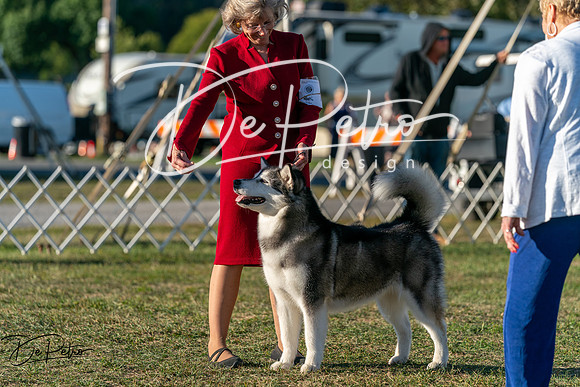 20250830-DSC07121