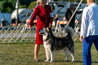 20250830-DSC07122