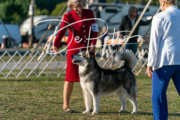 20250830-DSC07122