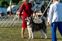 20250830-DSC07123