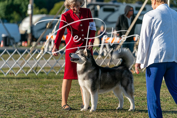 20250830-DSC07123
