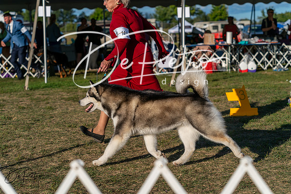 20250830-DSC07133