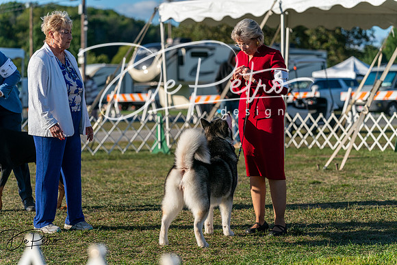 20250830-DSC07140