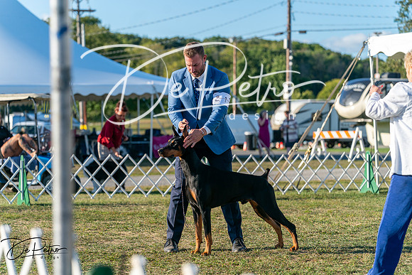 20250830-DSC07148