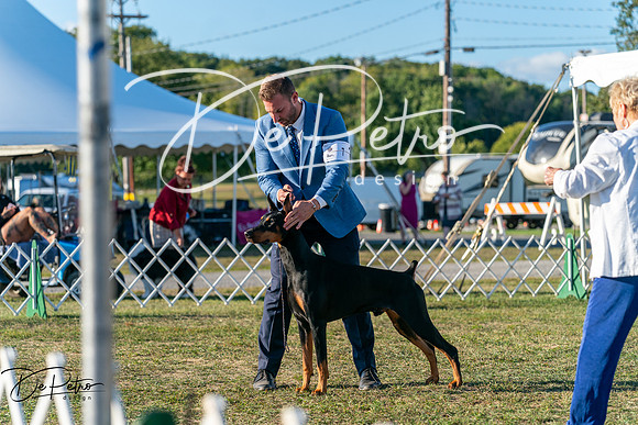 20250830-DSC07149