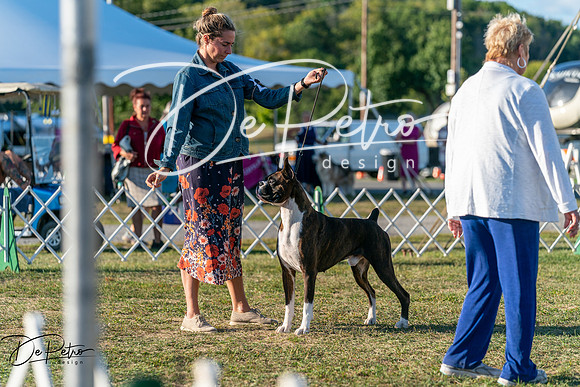 20250830-DSC07170
