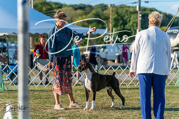 20250830-DSC07171