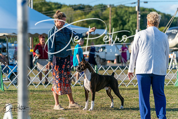 20250830-DSC07172