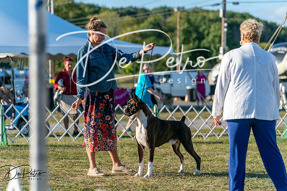 20250830-DSC07175