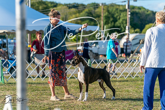 20250830-DSC07177