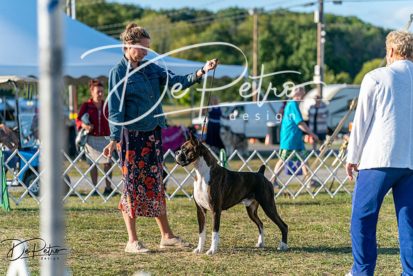 20250830-DSC07179