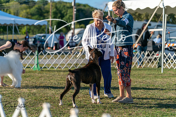 20250830-DSC07194