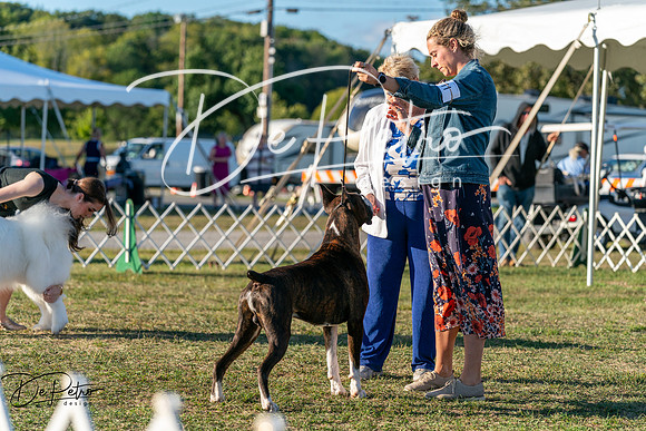 20250830-DSC07196