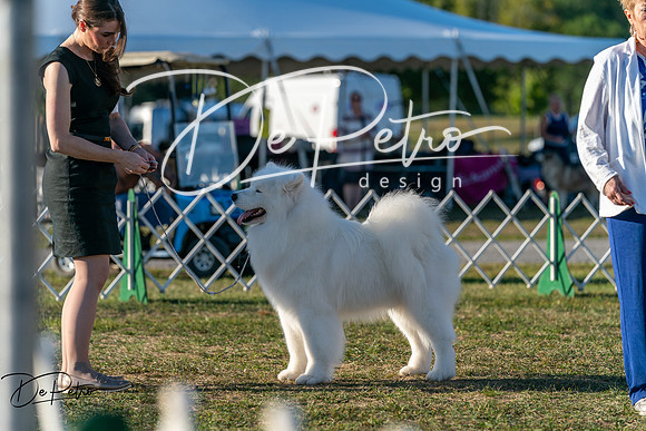 20250830-DSC07203